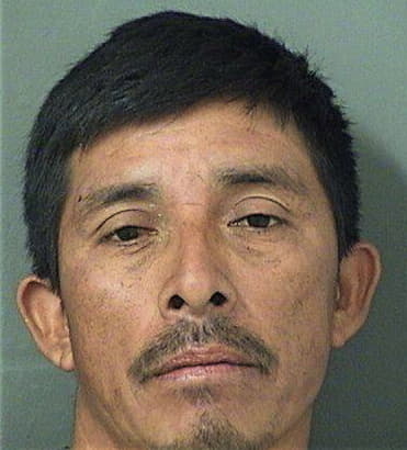 William Fontanez, - Palm Beach County, FL 